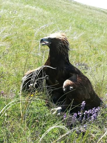 ee97a9e7-1ce6-411f-b1ba-dca10fa293be (1).JPG