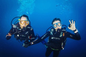 DE3772F1-427A-4658-9965-1947531DD516